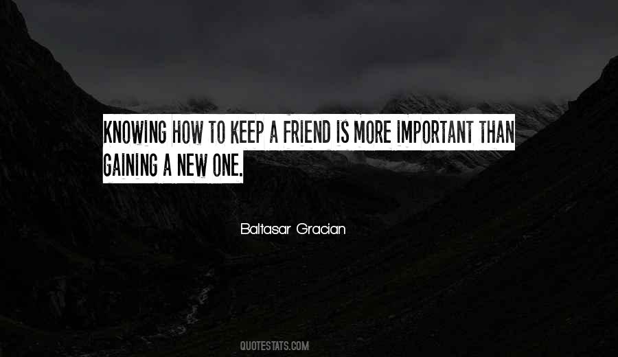 Knowing A Friend Quotes #140562