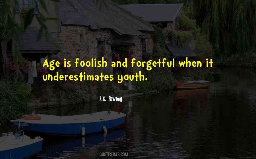 Foolish Youth Quotes #1105580
