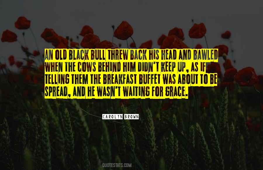 Back To Black Quotes #1241734