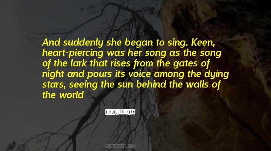 Quotes About Seeing The Stars #970558
