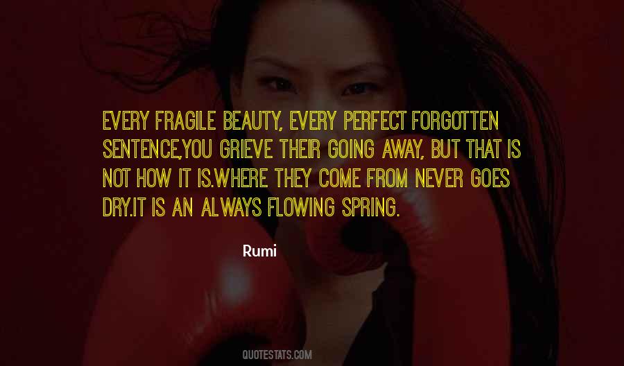 Fragile Beauty Quotes #1323238