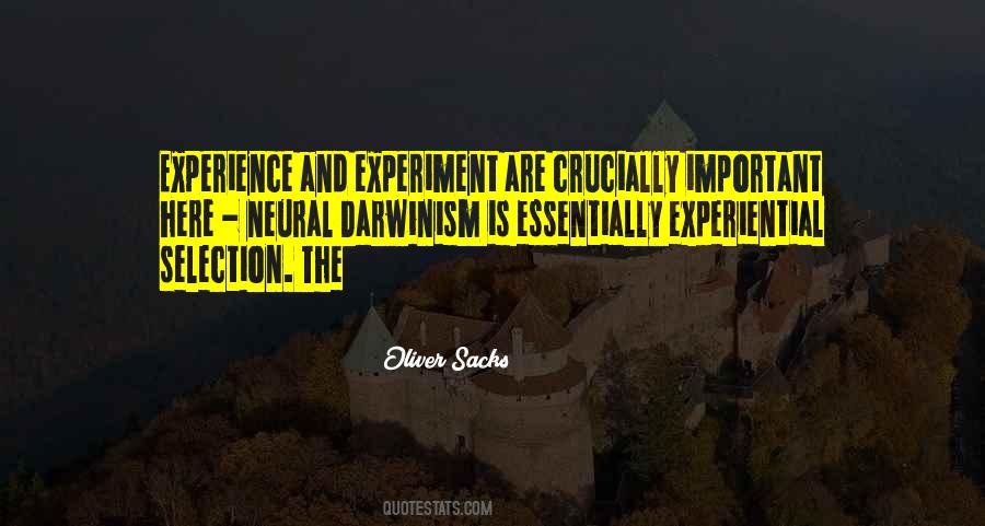 Experiential Quotes #294415