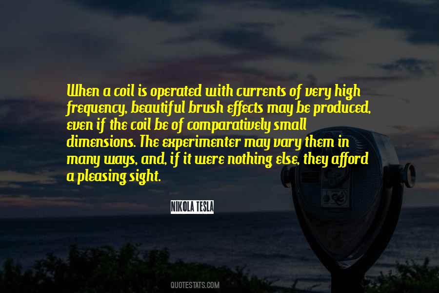 Experimenter Quotes #765584