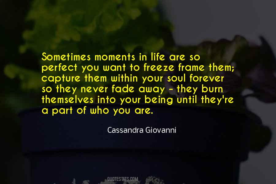 Moments Of Reflection Quotes #995816