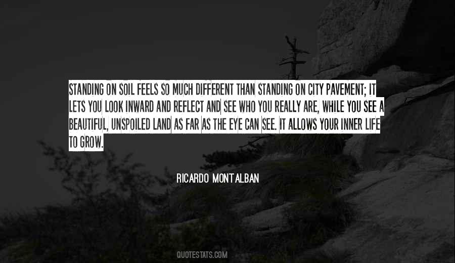 Quotes About The City Life #594527