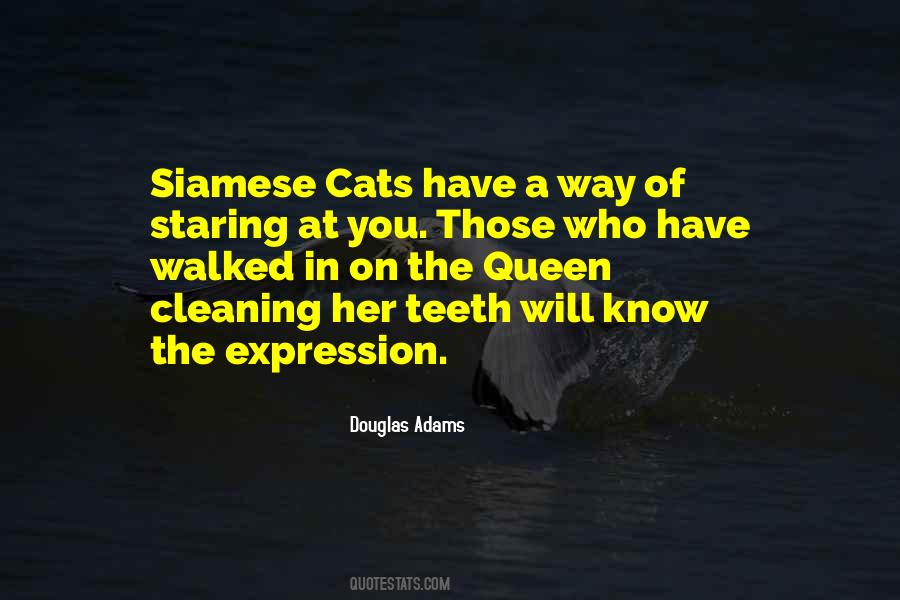 My Expression Queen Quotes #1626004