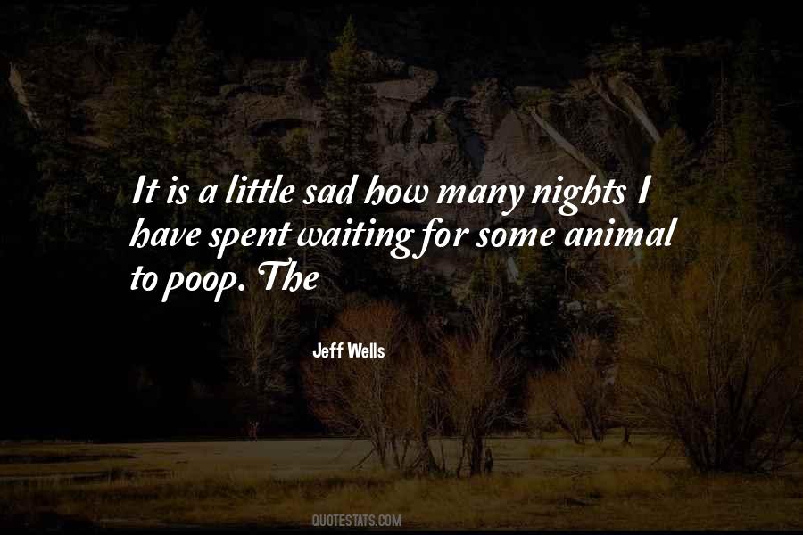 Little Sad Quotes #1048353
