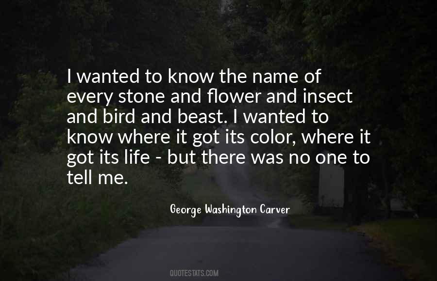 Got No Name Quotes #1426387