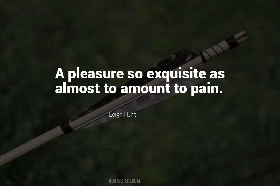Exquisite Pain Quotes #232628
