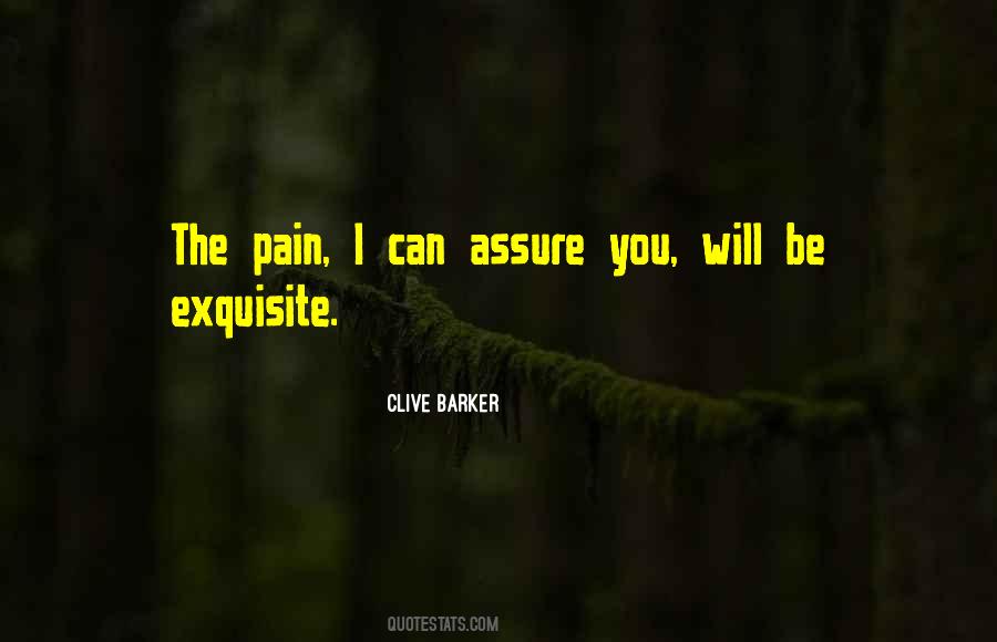 Exquisite Pain Quotes #625651