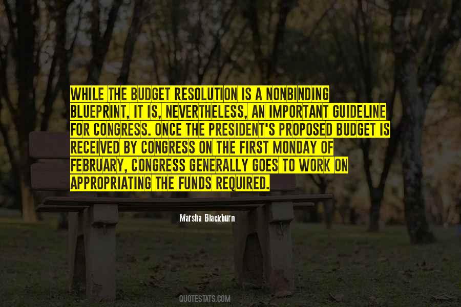 Quotes About On A Budget #1325274