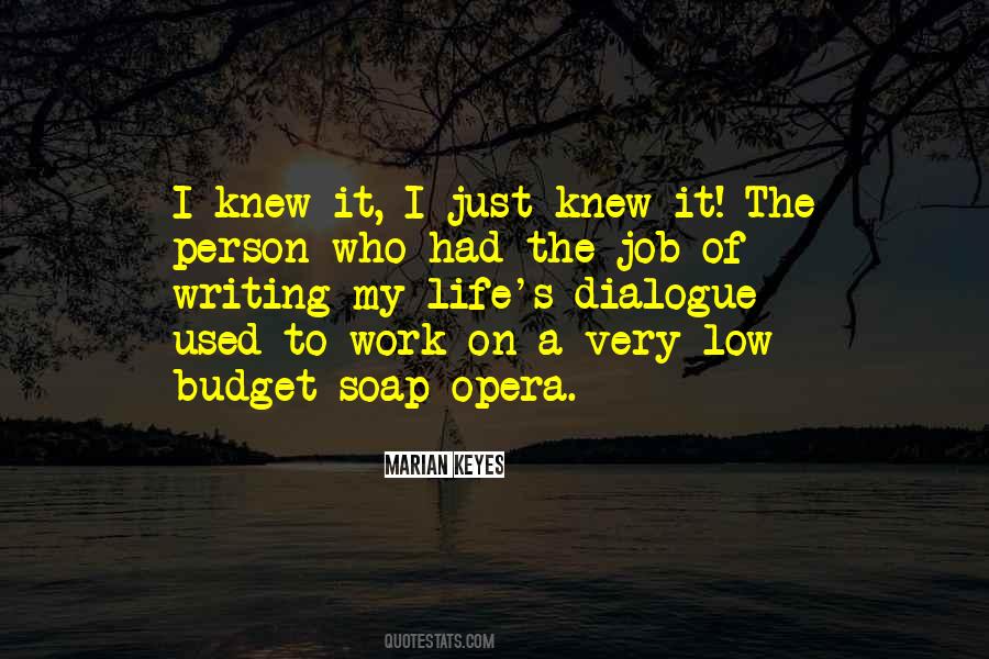 Quotes About On A Budget #728990