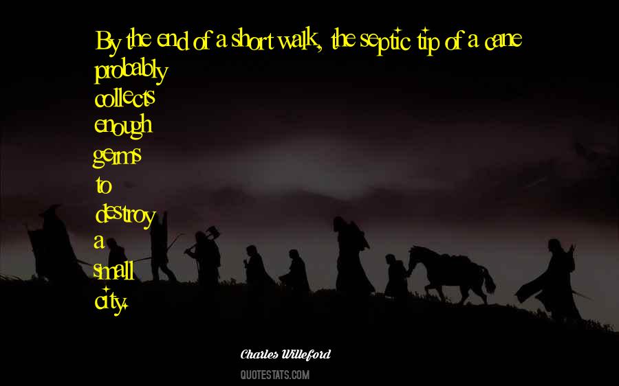 Small Walk Quotes #239246