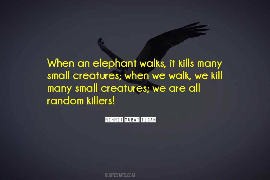 Small Walk Quotes #350370