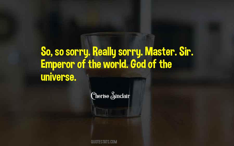 Sorry Sir Quotes #1048694