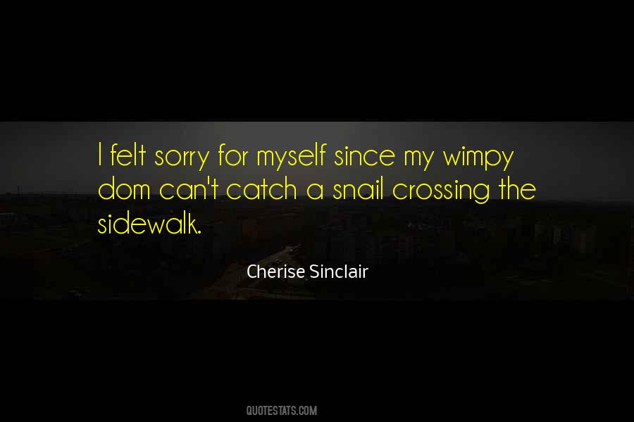 Sorry Sir Quotes #1134762