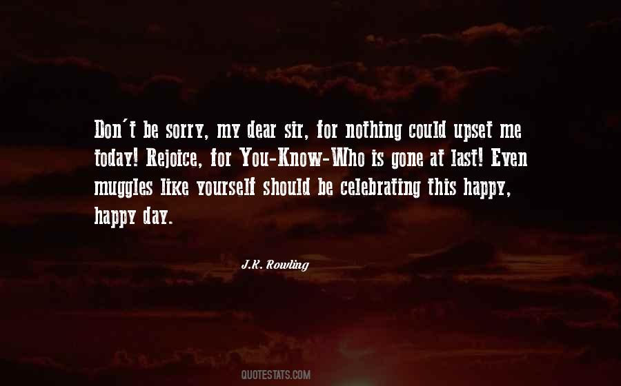 Sorry Sir Quotes #1298589