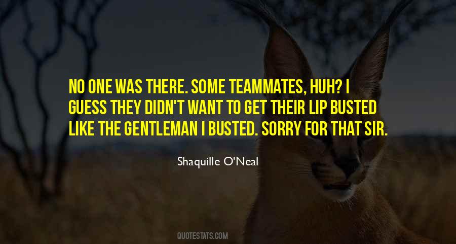 Sorry Sir Quotes #713074