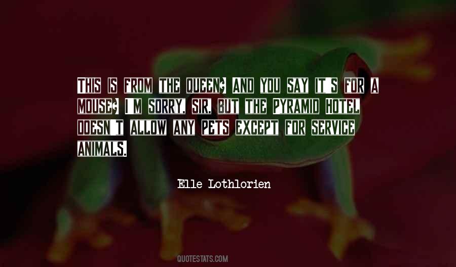 Sorry Sir Quotes #848495