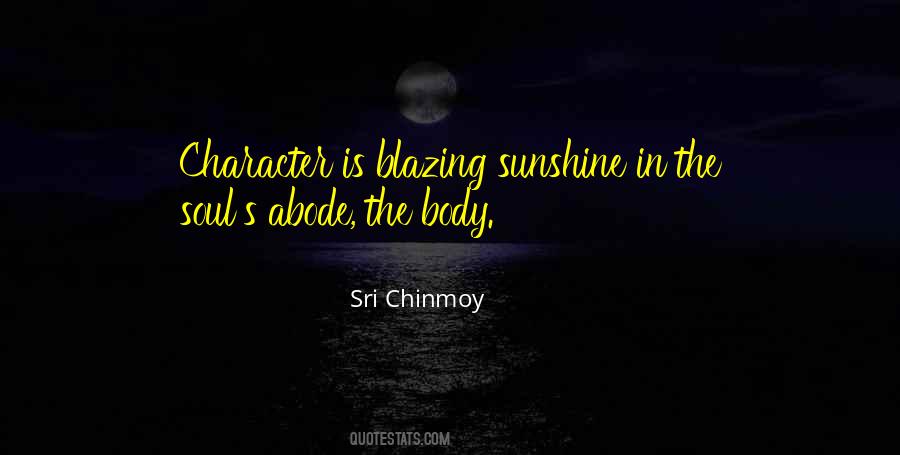 Sunshine Soul Quotes #1461795