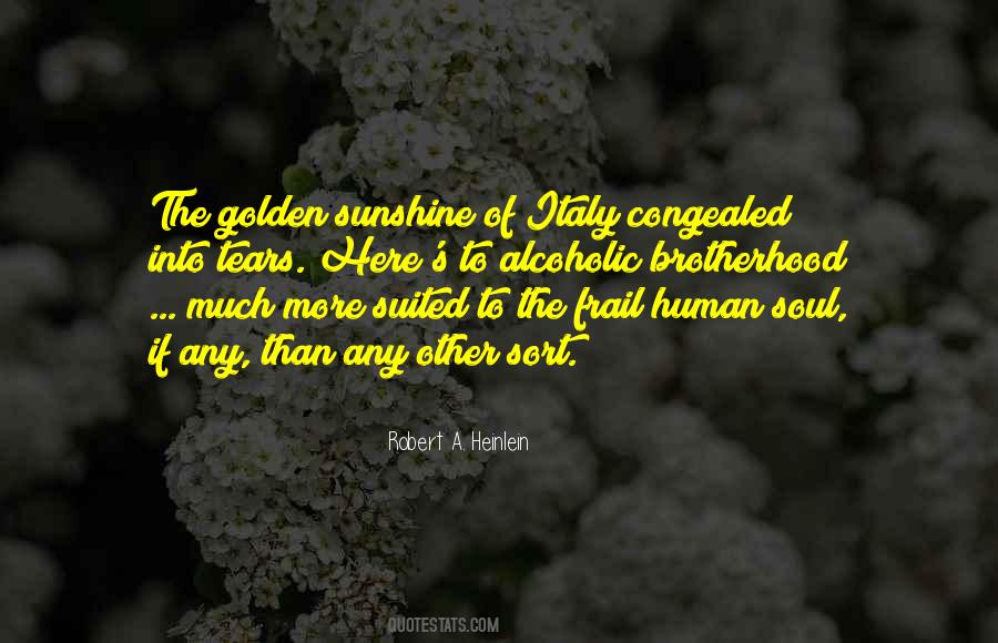 Sunshine Soul Quotes #441991
