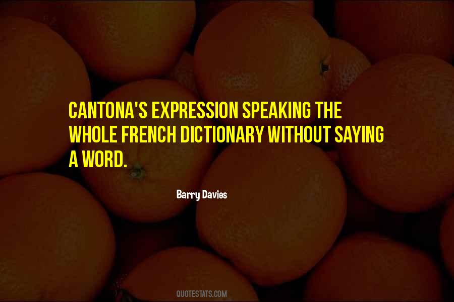 Cantona Football Quotes #1049287 Cantona Football Quotes #1049287