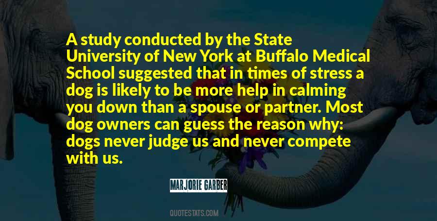 Why Judge Quotes #1271088