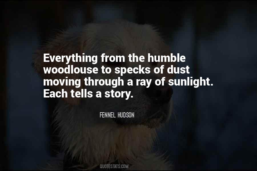 Ray Of Sunlight Quotes #1826748