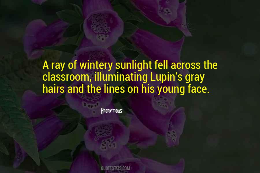 Ray Of Sunlight Quotes #986821