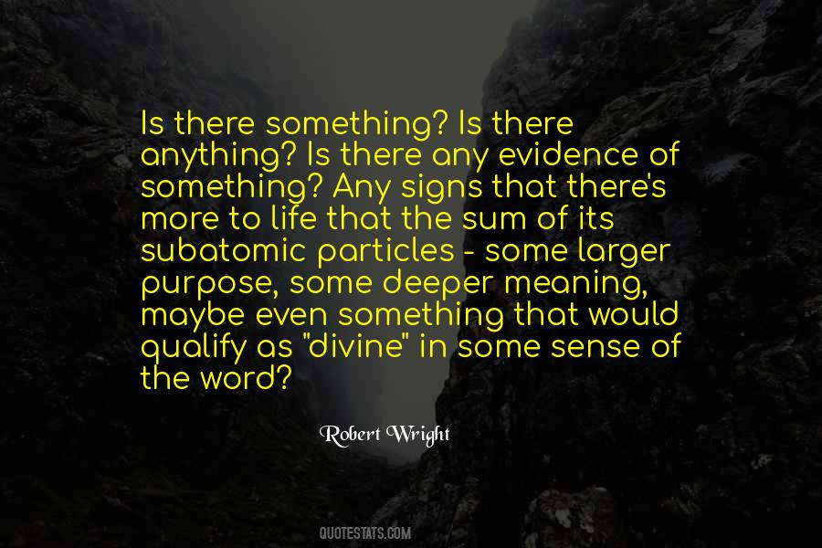 Meaning In Life Purpose Quotes #1479279
