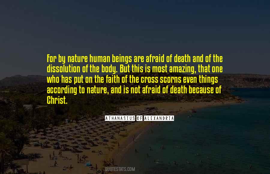 Human Body Is Amazing Quotes #880521