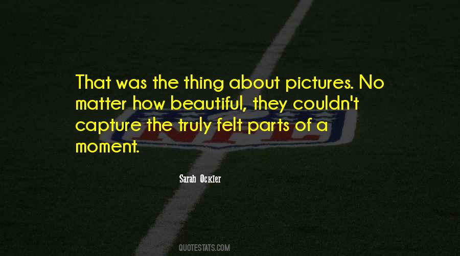 The Beautiful Pictures Quotes #1223830