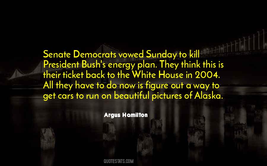 The Beautiful Pictures Quotes #486582