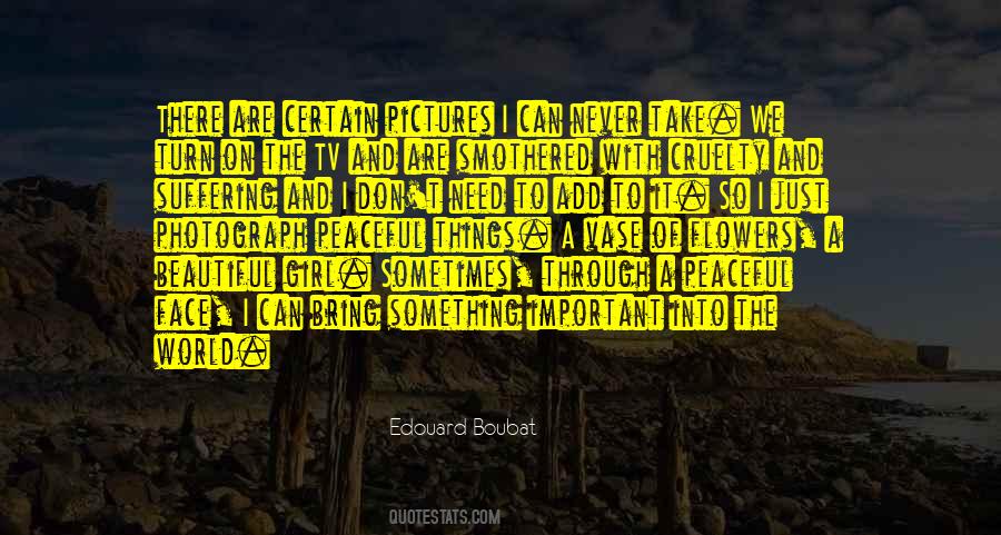 The Beautiful Pictures Quotes #632346