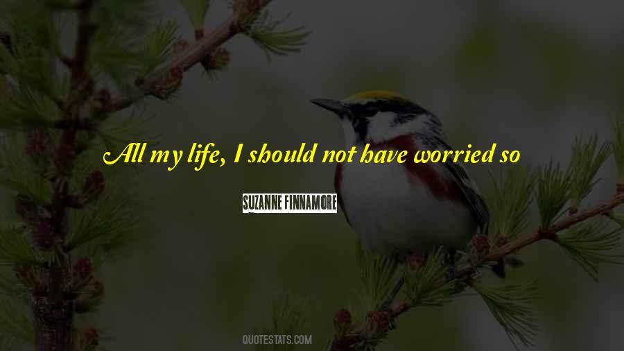 Not Worried About You Quotes #888662