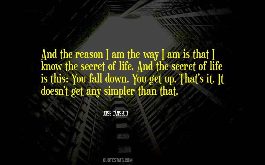 I Fall I Get Up Quotes #1175343