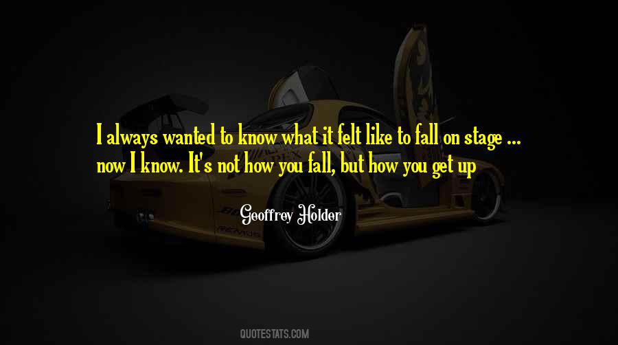 I Fall I Get Up Quotes #1790073