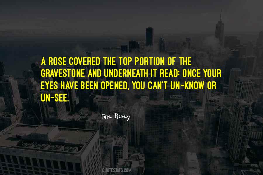 Eyes Have Been Opened Quotes #409140