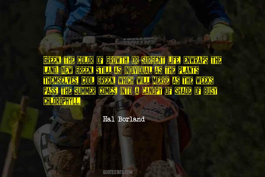New Life Plants Quotes #1327450