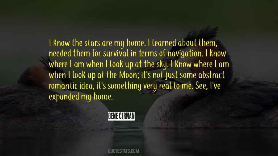 When I Look Up At The Stars Quotes #1403582