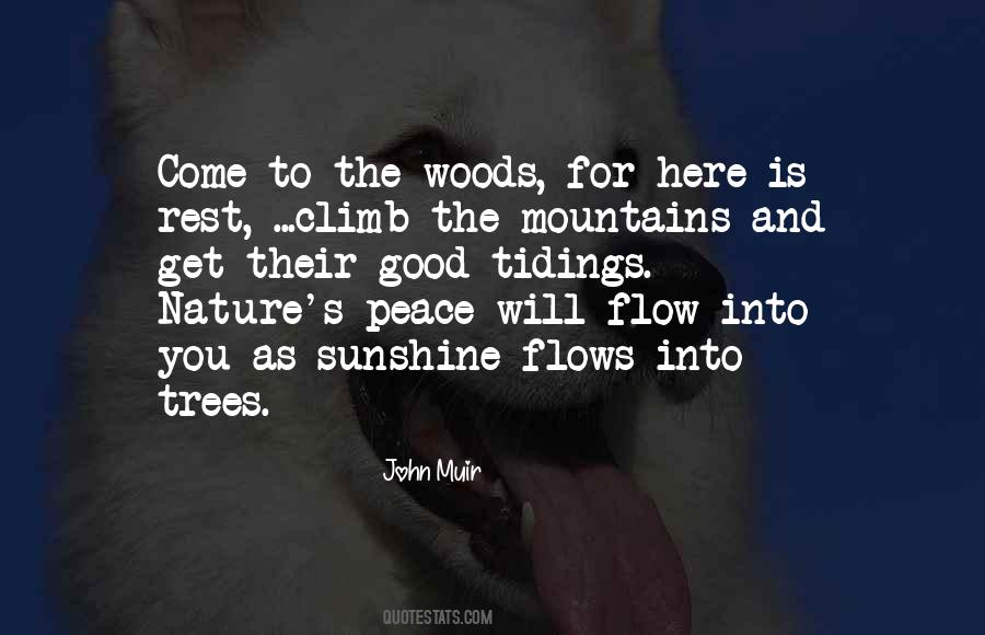 Good Sunshine Quotes #1839505