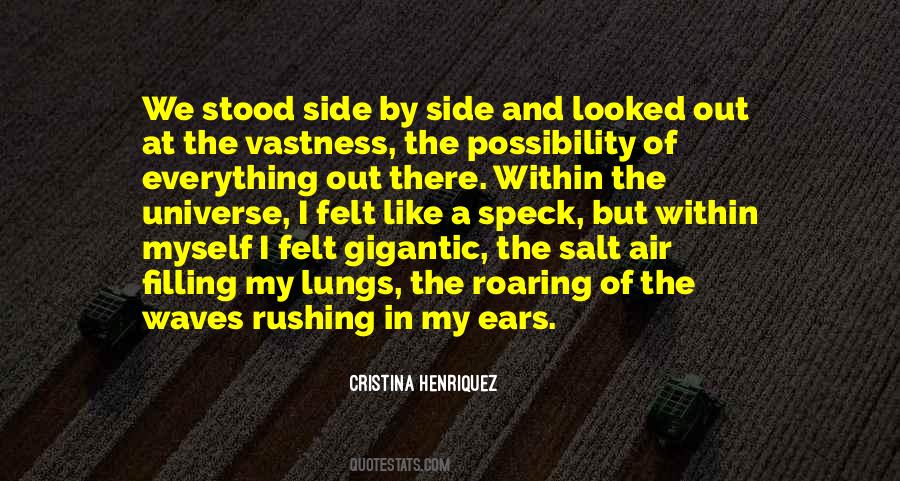 Salt In The Air Quotes #623853