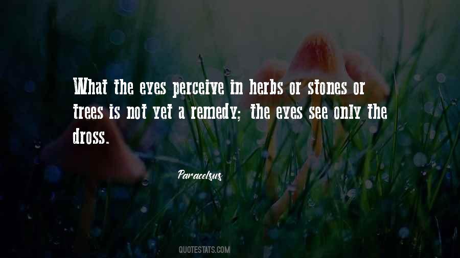Eyes See Quotes #730689