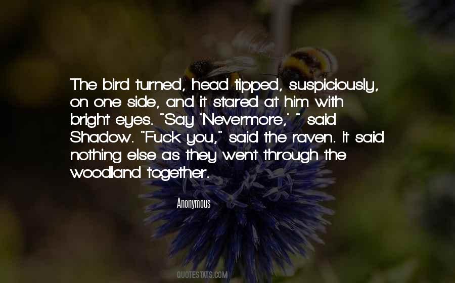Quotes About The Shadow Side #1845998