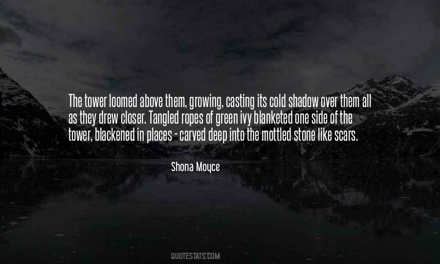 Quotes About The Shadow Side #321002