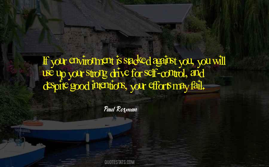 You May Fail Quotes #1643466