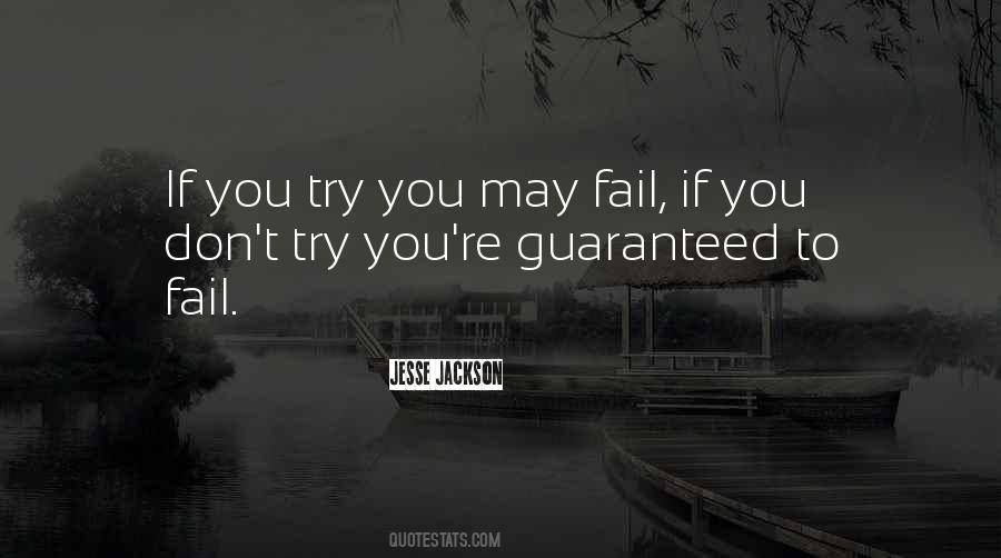 You May Fail Quotes #1763917
