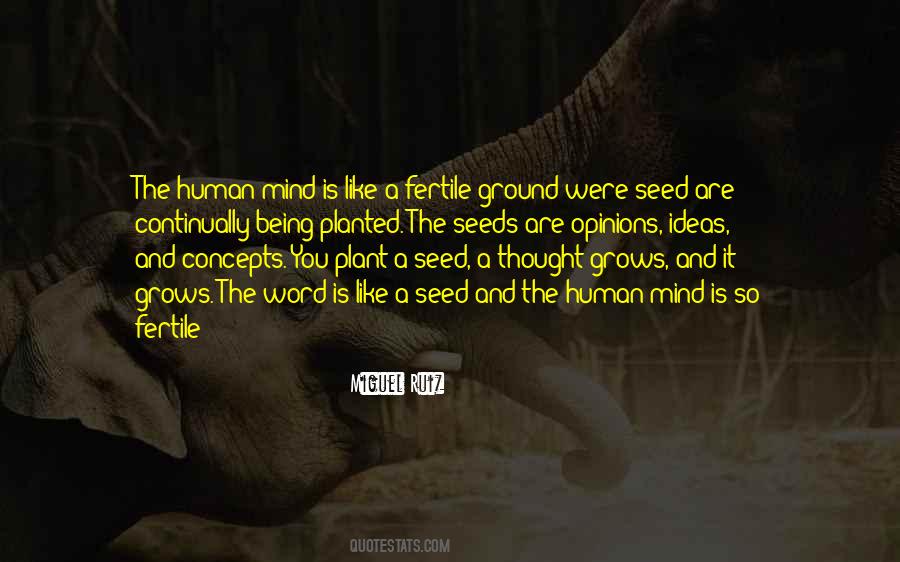 Plant The Seeds Quotes #1344808