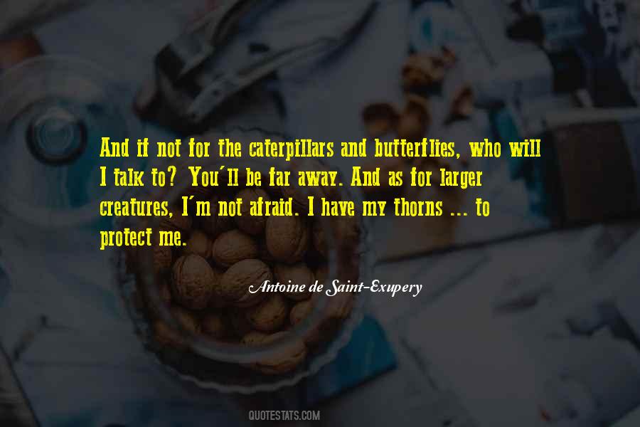 Not Afraid To Love Quotes #1289330