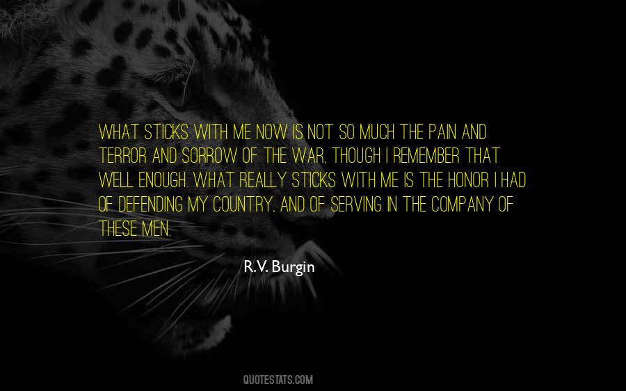 Remember Pain Quotes #128857